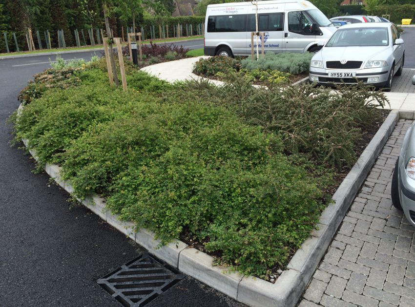 BEA_Landscape_Design_Redgrave4
